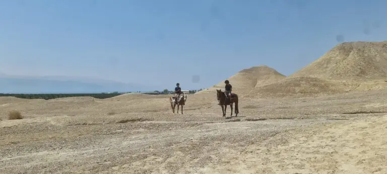 לינה באזור ים המלח