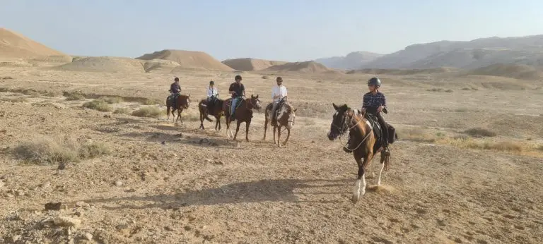 אטרקציות בקרבת קמפ סהרה