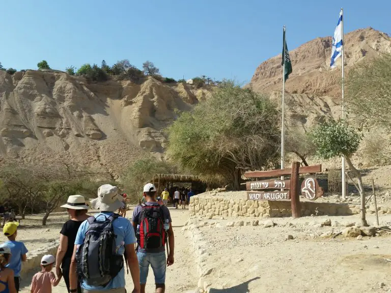 נחל ערוגות- שמורת טבע עין גדי - יניב כהן רשות הטבע והגנים