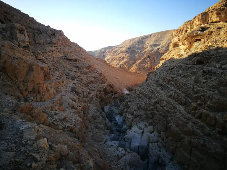אטרקציות בים המלח לילדים ולמשפחות